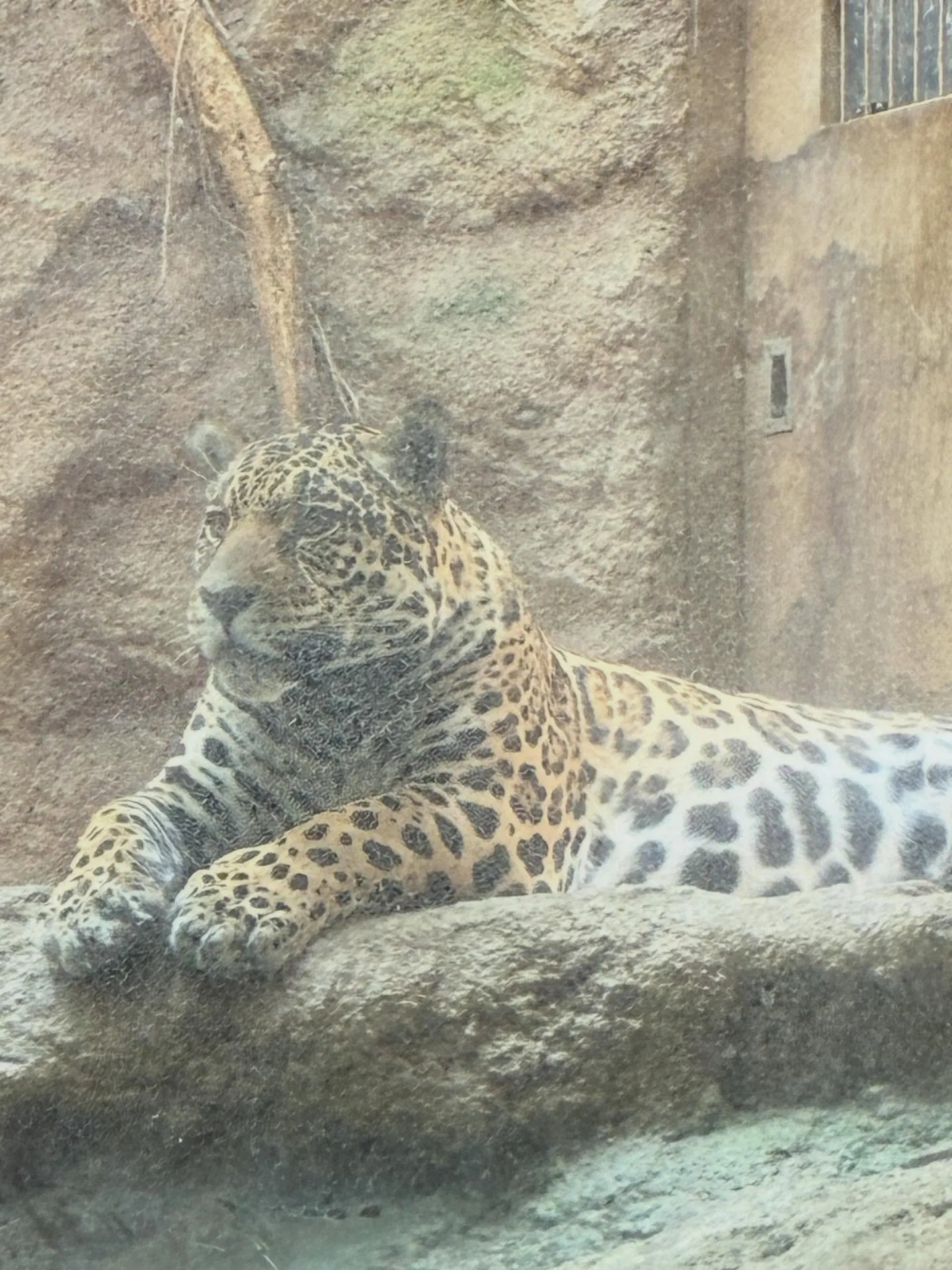 3/28（土）動物園に行こう！